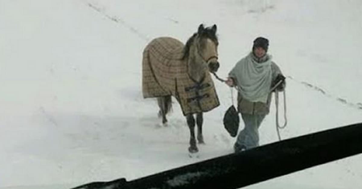 Adolescente percorre 6 Km con il suo cavallo durante la tempesta di neve per raggiungere il camionista bloccato