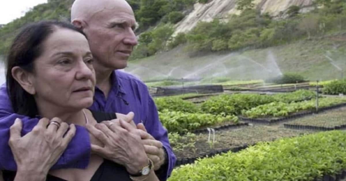 Coppia Brasiliana ripianta 2 milioni di alberi in 20 anni ridanno vita all’ecosistema di una foresta. Le foto della trasformazione del paesaggio