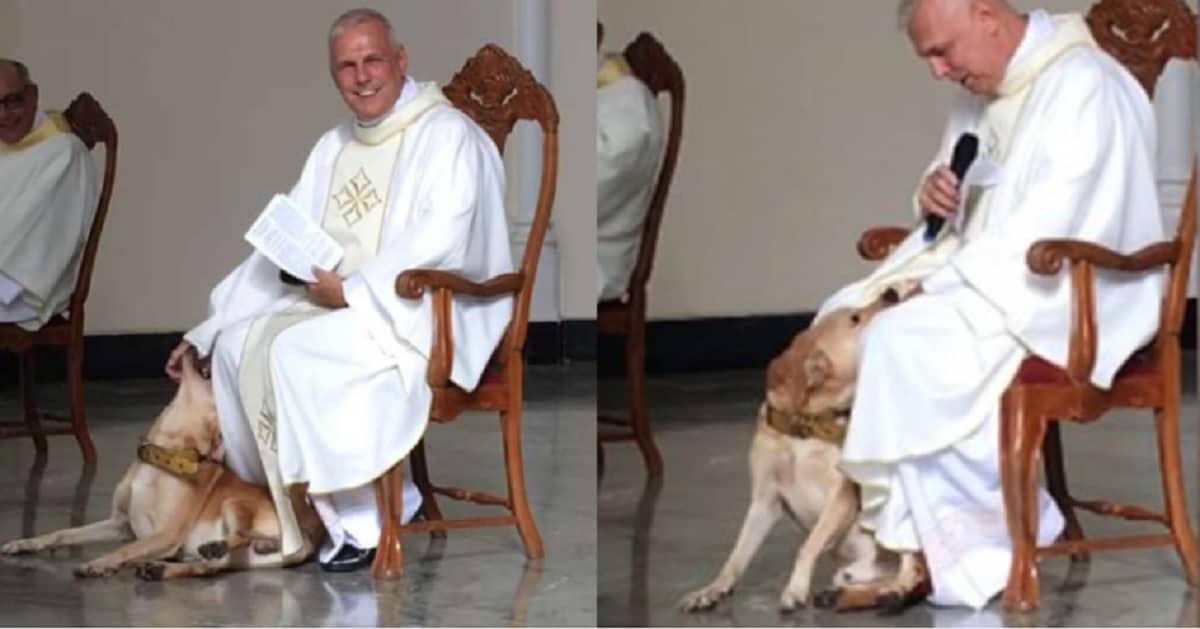 Un cane entra in chiesa e si butta ai piedi del prete –  La sua reazione ha ricevuto più di 6 milioni di visualizzazioni