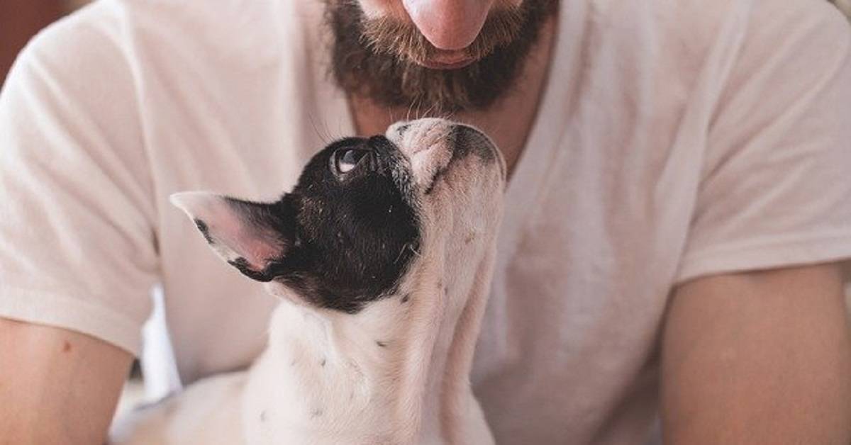 Avere un cane aiuta a mantenere il tuo cuore più sano. Uno studio spiega i motivi.