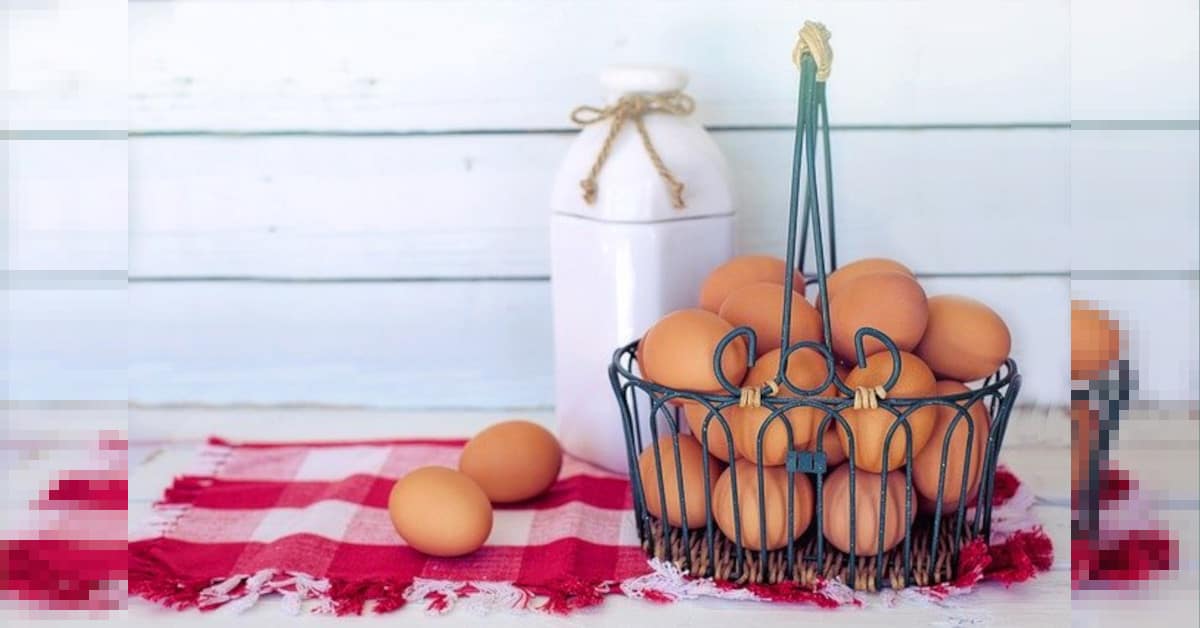 Quante uova si possono mangiare al giorno? Ecco la risposta degli esperti