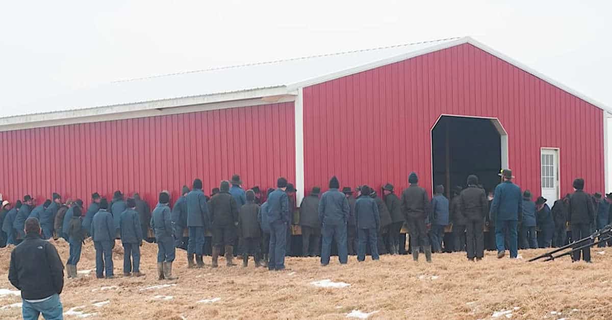 250 Amish sollevano il fienile a mani nude e lo trasportano attraverso la fattoria dell’Ohio fino al suo nuovo posto