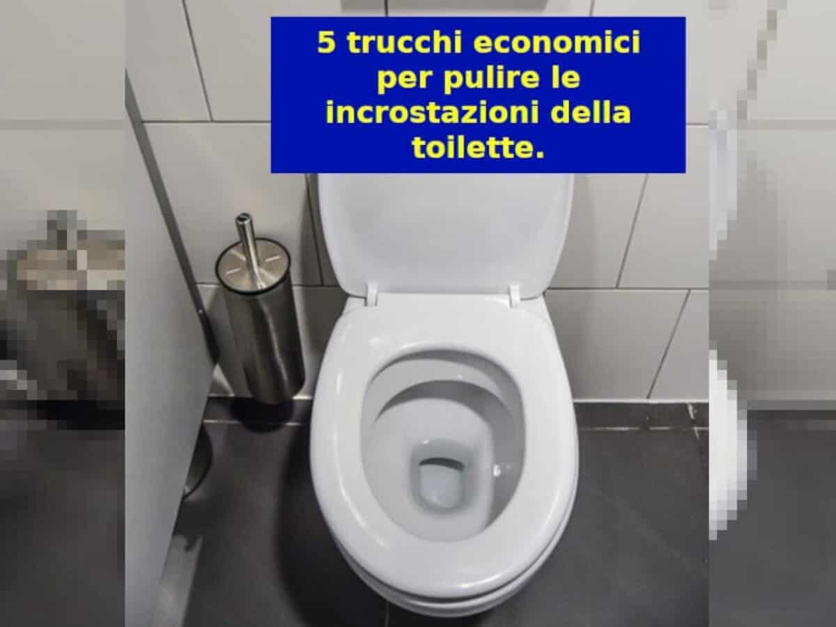 5 Trucchi Economici Per Pulire Le Incrostazioni Della Toilette Modo Semplice