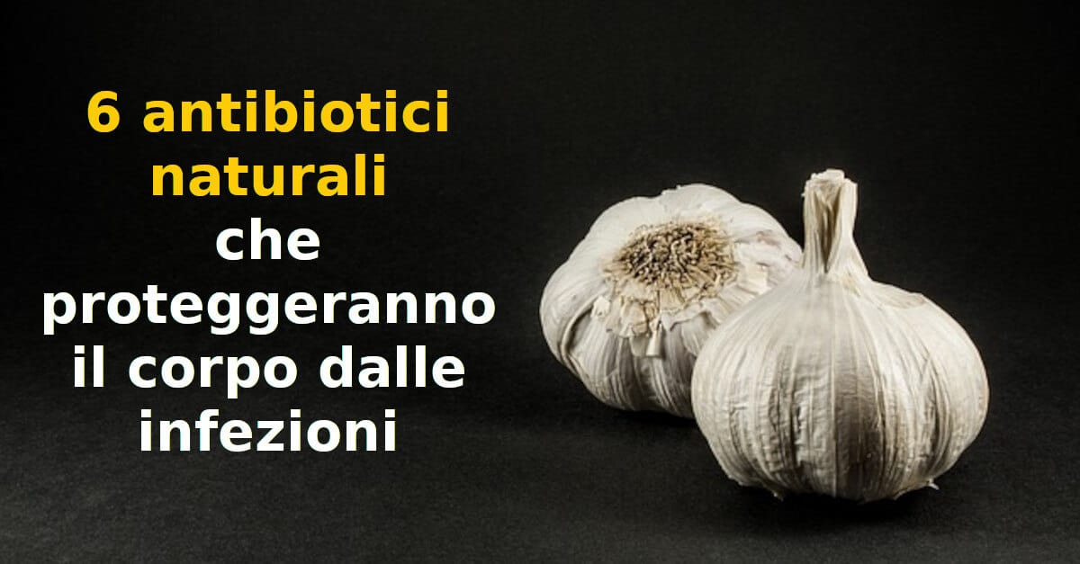 6 antibiotici naturali che proteggeranno il corpo dalle infezioni