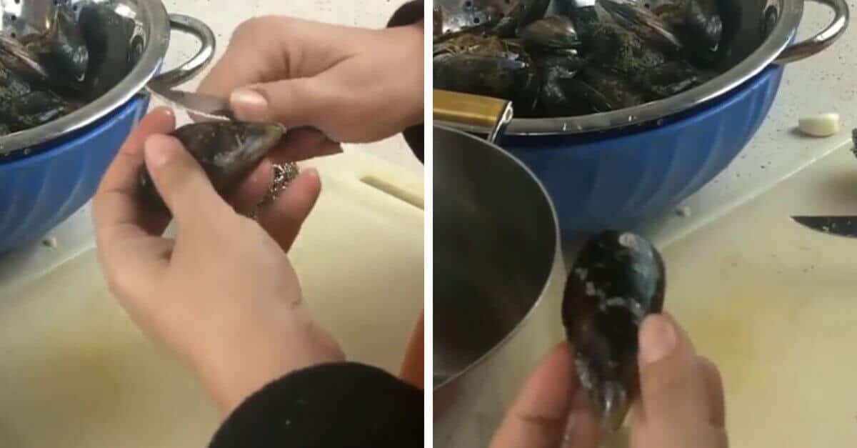 Il metodo giusto per pulire le cozze: in 5 minuti senza strofinare!