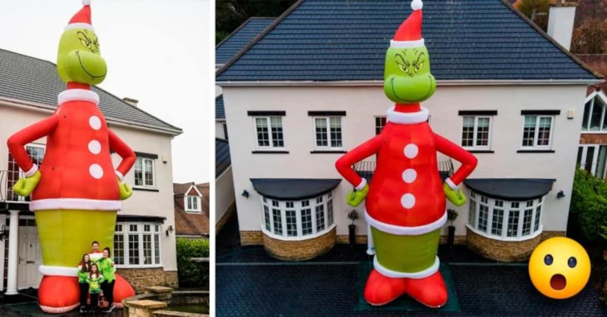 L’uomo compra per errore un Grinch più grande di casa sua e i suoi vicini lo adorano