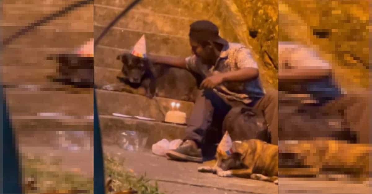 Il tenero video di un senzatetto che festeggia il compleanno dei suoi cani con torta e cappellini