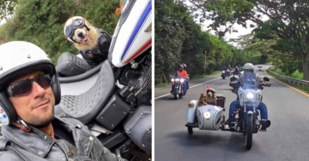 Colombiano adatta la sua moto per portare il suo cane in viaggio e non lasciarlo solo in casa