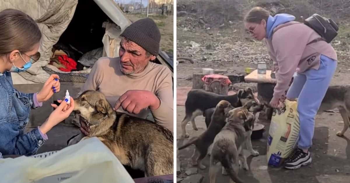 Un senzatetto si prende cura di 30 cani di strada