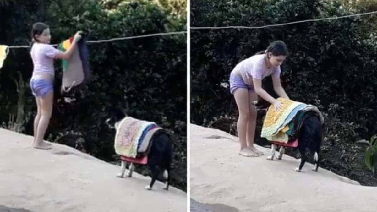 La mamma riprende il cane che aiuta sua figlia a togliere i vestiti dallo stendibiancheria