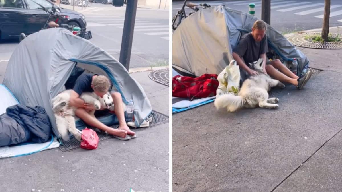 Cane fa amicizia con un giovane che vive per strada e insegna una lezione al suo padrone