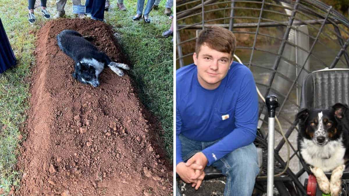 Il cane in lutto non lascia la tomba del proprietario 22enne durante il suo funerale