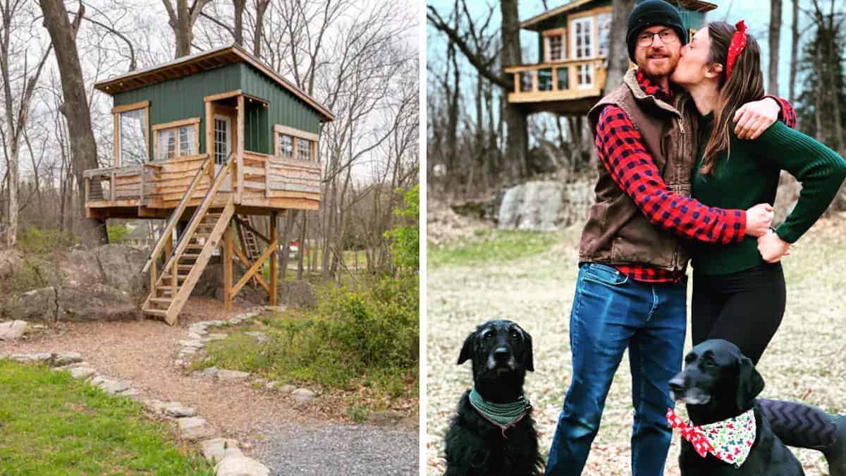 L’uomo costruisce una casa sull’albero e la mette su AirBnB e ora guadagna abbastanza per lasciare il lavoro