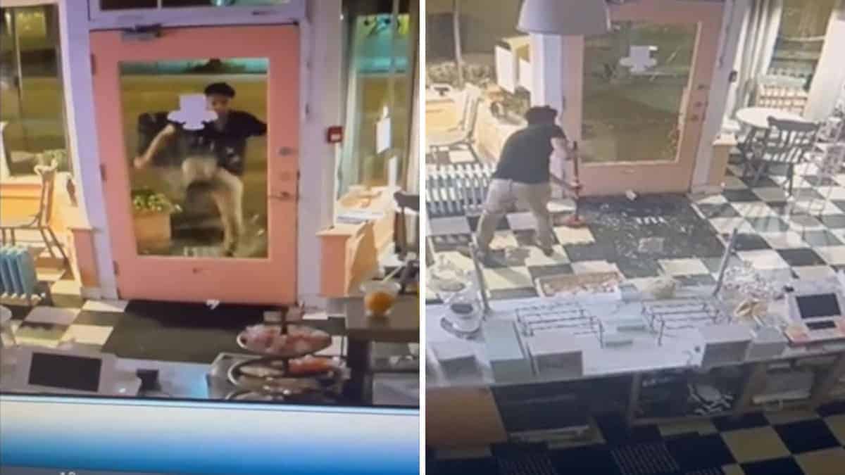 Un ladro sfonda la porta di una panetteria, ruba solo sei cupcakes e cerca di ripulire il suo casino prima di andarsene