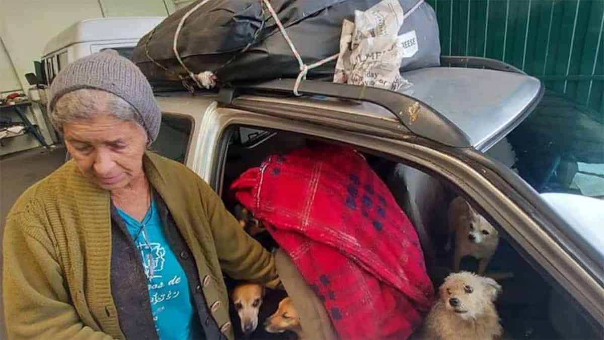 Donna vive da oltre un decennio in macchina con 16 cani: “La mia famiglia sono i miei cani”