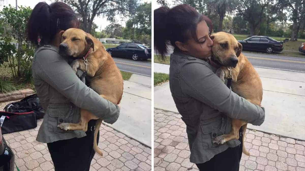 Il cane con traumi non riesce a lasciare i suoi salvatori, si tiene stretto stretto