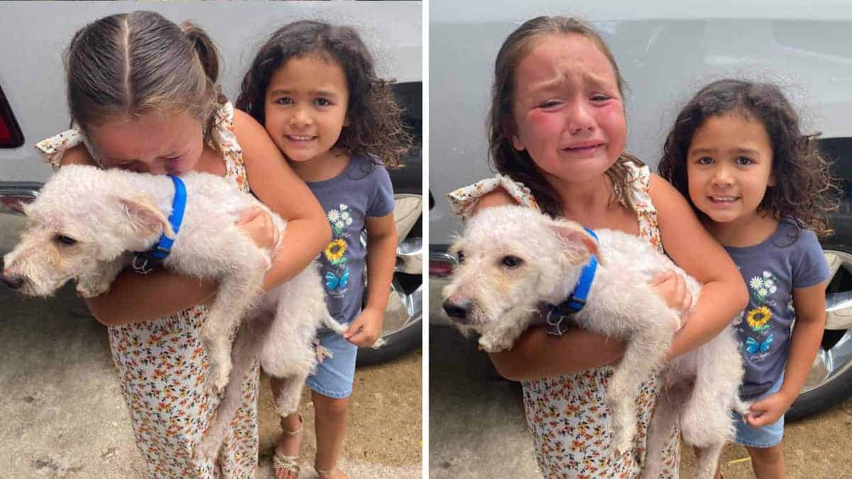 La piccola è sopraffatta dall’emozione quando finalmente ritrova il suo cane smarrito