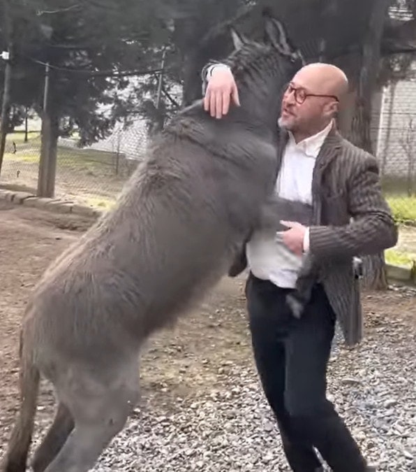 asinello orfano manifesta la sua riconoscenza abbracciando il suo salvatore