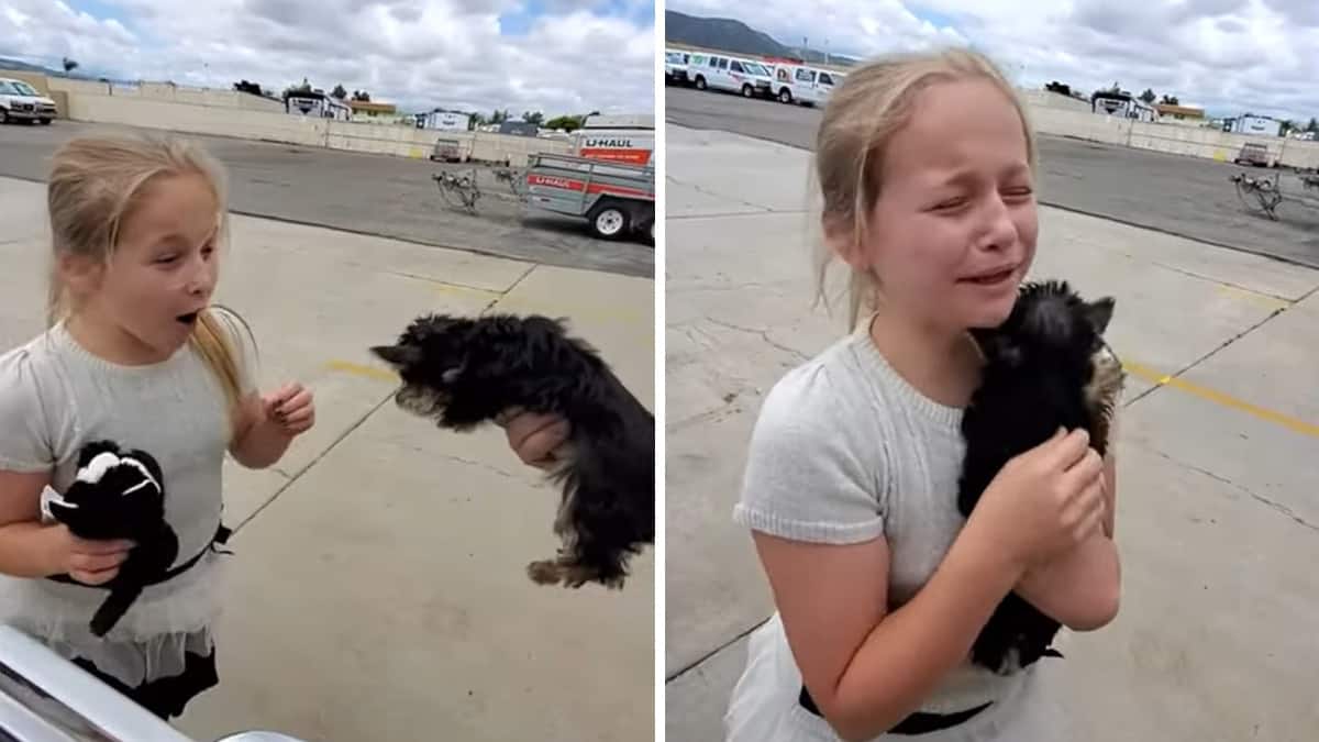 La piccola ragazza emozionata: spera in un orsacchiotto di peluche ma riceve un vero cucciolo dai suoi genitori