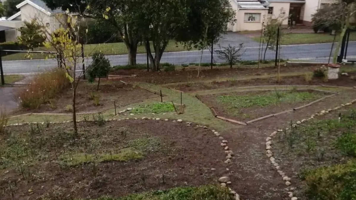 Converte il suo giardino secco e inospitale in un rigoglioso paradiso verde