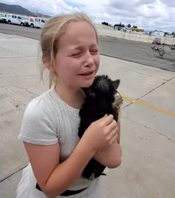 Una bambina era felice di aver ricevuto un peluche, ma scoppiò in lacrime di gioia quando i genitori le regalarono un cucciolo vero.