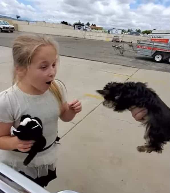 Una bambina era felice di aver ricevuto un peluche, ma scoppiò in lacrime di gioia quando i genitori le regalarono un cucciolo vero.