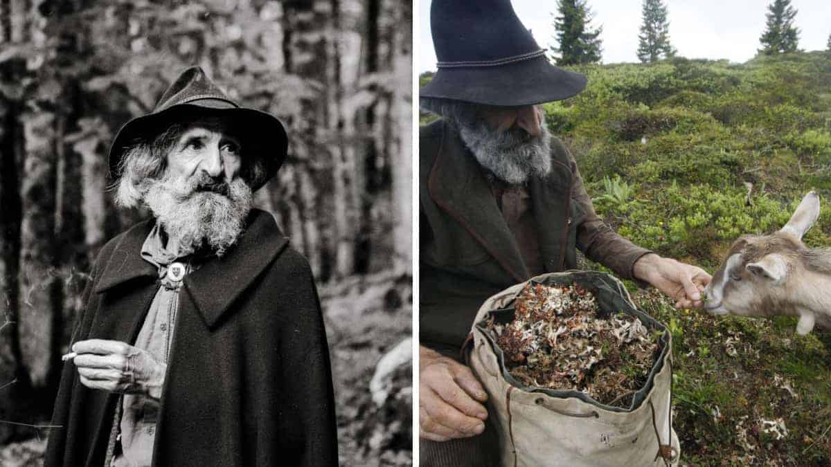 Fèro, l’ultimo protettore del verde: ‘Il bosco è il mio rifugio, la sua vera salvaguardia risiede nel rispetto’