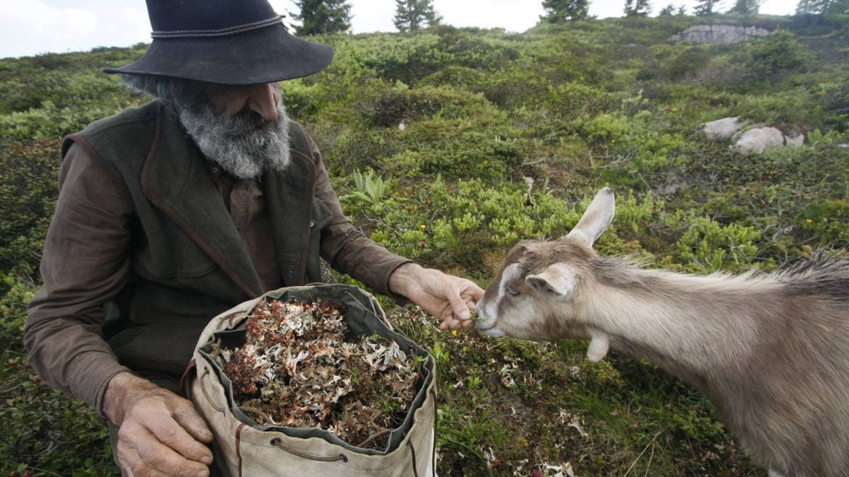 Fèro, il custode dei Boschi: una vita dedicata alla protezione della Natura