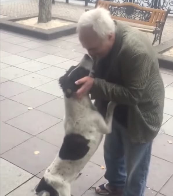 L'incredibile momento in cui quest'uomo ritrova il suo cane per strada dopo 3 anni