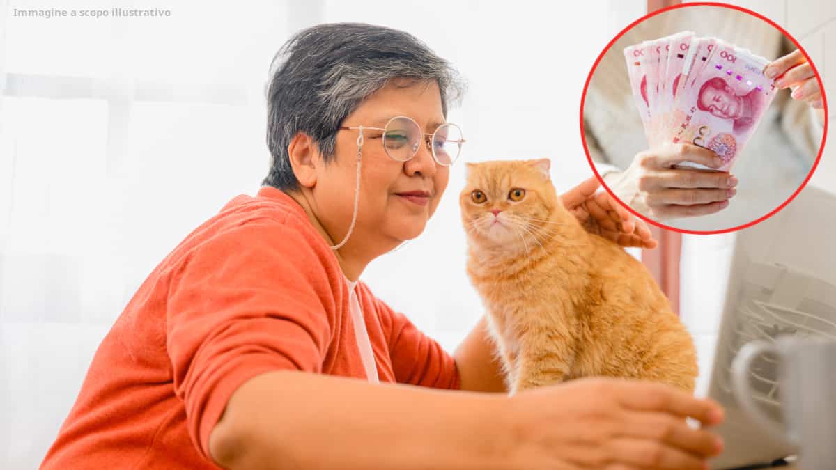 Pensionata decide di lasciare l’eredità di 2.6 milioni ai suoi animali domestici, niente ai figli