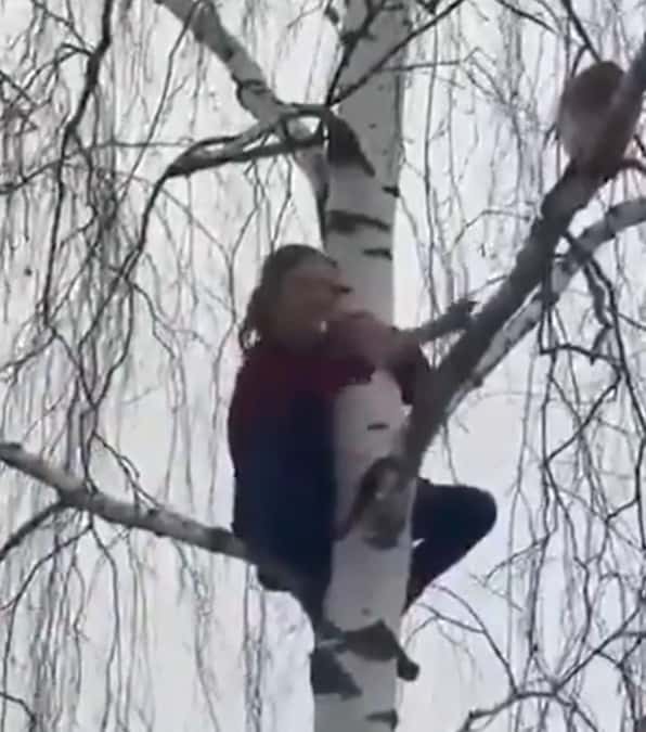 il drammatico tentativo di salvataggio di un gatto bloccato su un albero