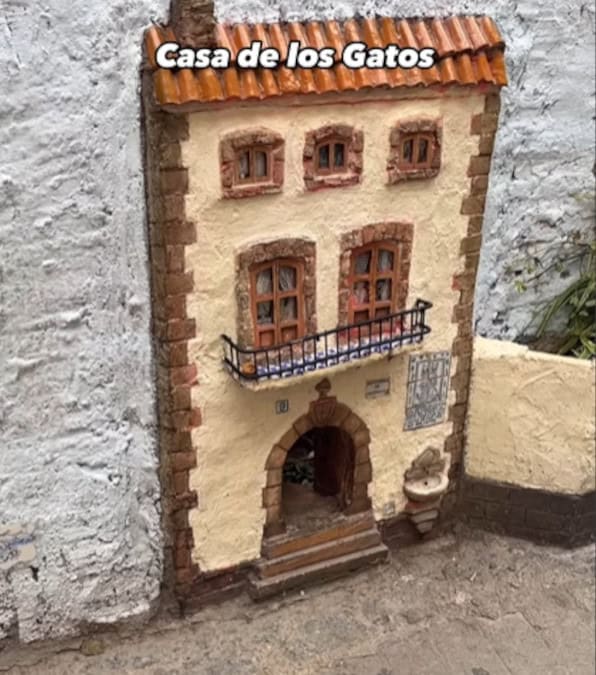 Casa de los Gatos: Il rifugio artistico per Gatti randagi che incanta Valencia